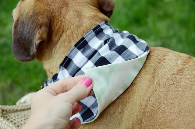 Easy DIY Reversible Dog Bandana Sewing Pattern /// By Design Fixation