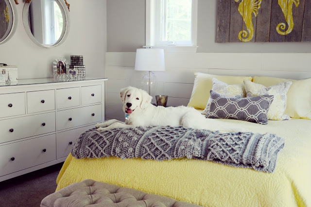 It's Raining Cats and Dogs: Pets From My Houzz Tours /// By Faith Towers Provencher of Design Fixation