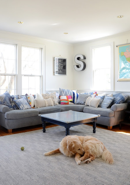 It's Raining Cats and Dogs: Pets From My Houzz Tours /// By Faith Towers Provencher of Design Fixation