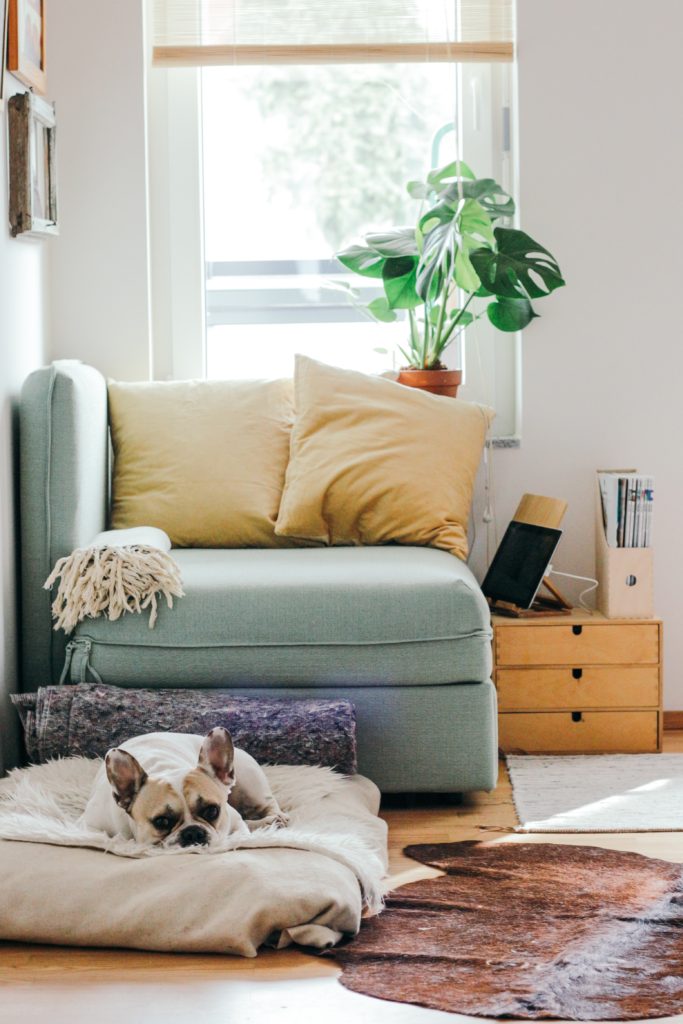 7 Apartment Decorating Ideas to Make Your Rental Feel More Like Home