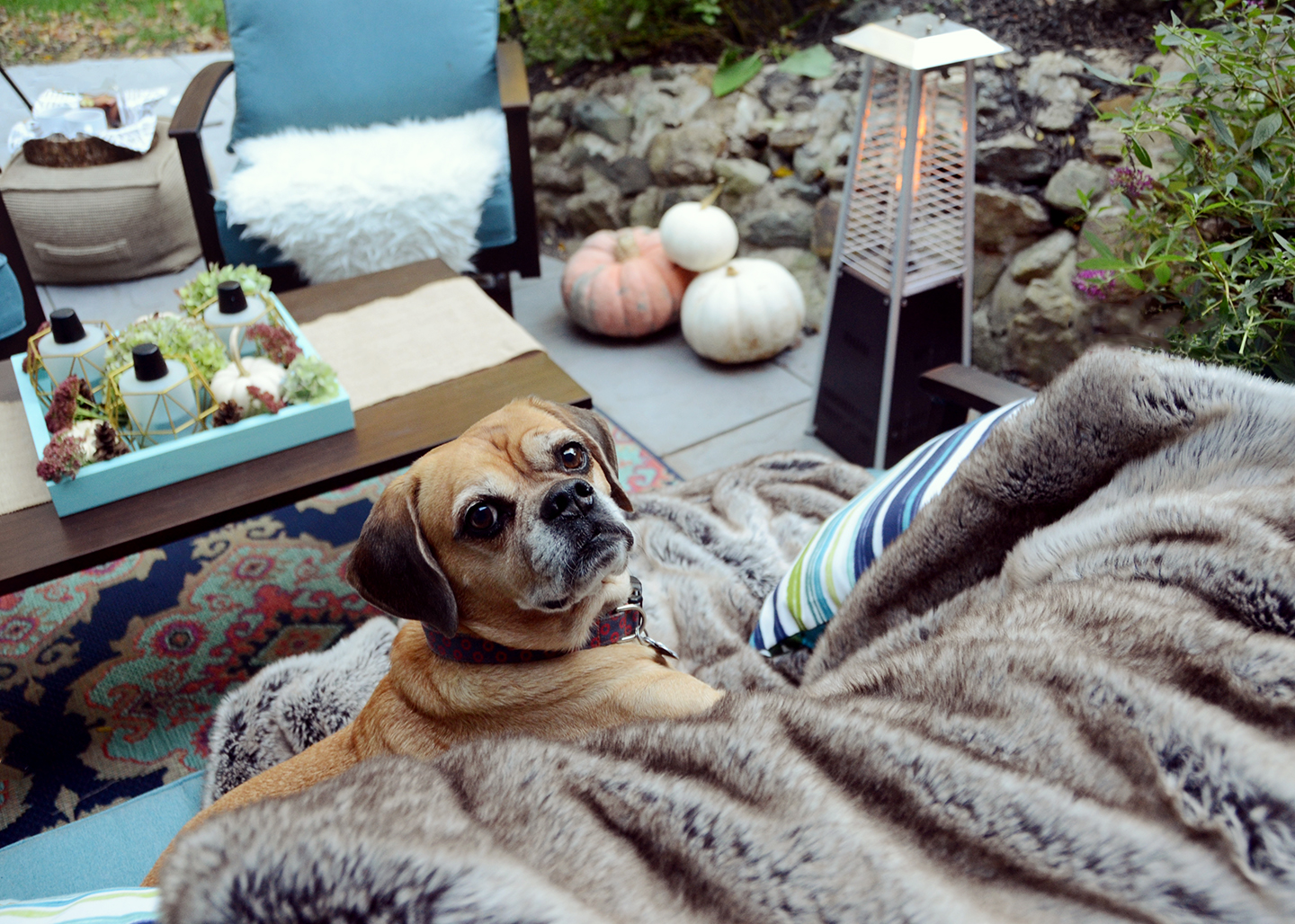 Falling For Fall: Patio Ideas That Will Extend The Life of Your Outdoor Space | Fall Patio Ideas /// By Design Fixation #fall #patio #ideas