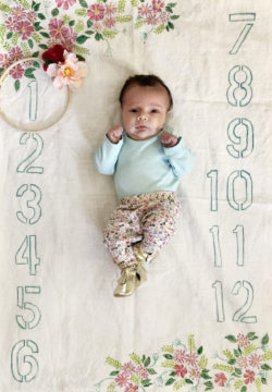 Stencil It: DIY Baby Month Milestone Blanket | Design Fixation