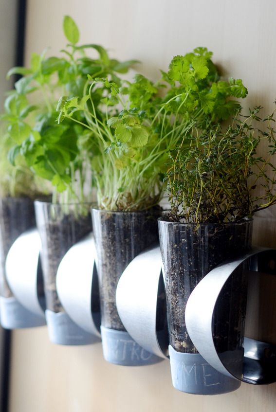 Indoor herb garden IKEA hack using a wine rack! 10 Best IKEA Hack Ideas For Every Room In Your Home /// By Faith Towers Provencher of Design Fixation #diy #home #decor #furniture