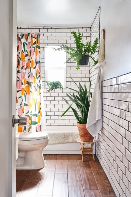 Snake plant in bathroom /// Gorgeous Indoor Plants That Will Liven Up Your Home /// By Design Fixation #plants #houseplants #homedecor #greenliving