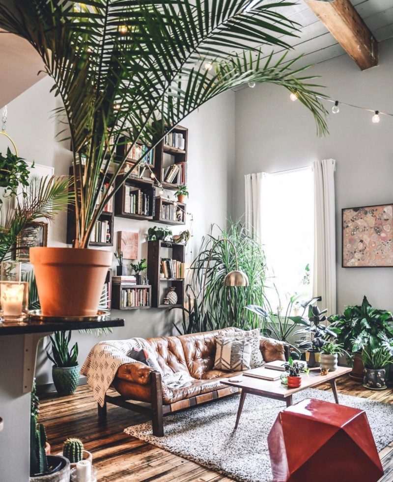 Gorgeous Indoor Plants That Will Liven Up Your Home | Design Fixation