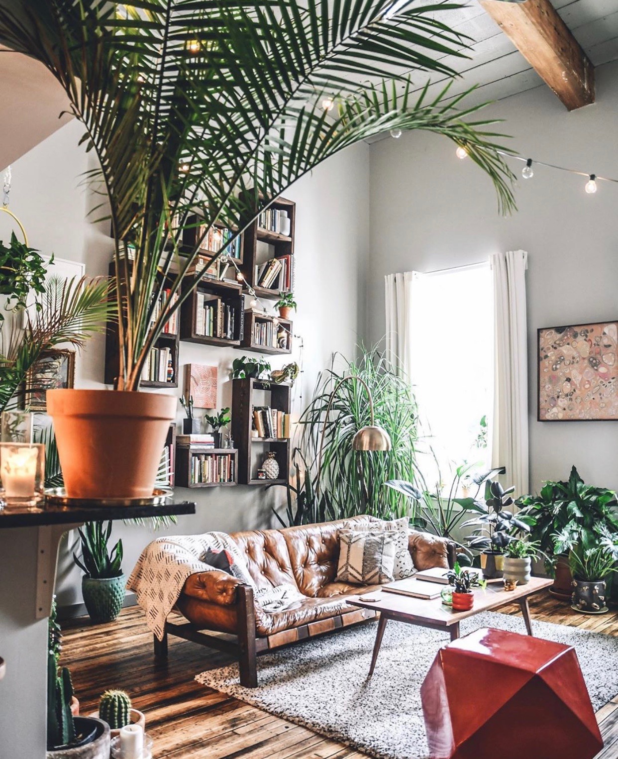 Indoor plants in Hilton Carter's Studio /// Gorgeous Indoor Plants That Will Liven Up Your Home /// By Design Fixation #plants #houseplants #homedecor #greenliving