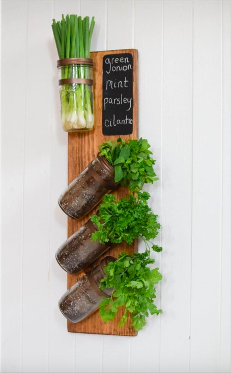 Fresh Herbs hanging on wall /// Gorgeous Indoor Plants That Will Liven Up Your Home /// By Design Fixation #plants #houseplants #homedecor #greenliving